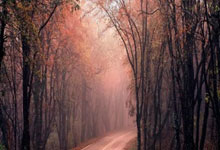 亿万28官网:冯潇霆:我们这代人,离世界杯就差一点.