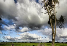 亿万28官网:宿命对决?勇士升第5 约战第4湖人!湖媒兴奋喊话 后天或首轮预演.