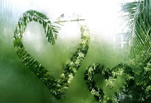 亿万28官网:欧冠-凯恩传射科曼破门 拜仁3-1加拉塔萨雷.