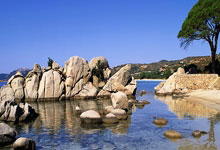 《联邦大作战》2024年度总决赛12强诞生.